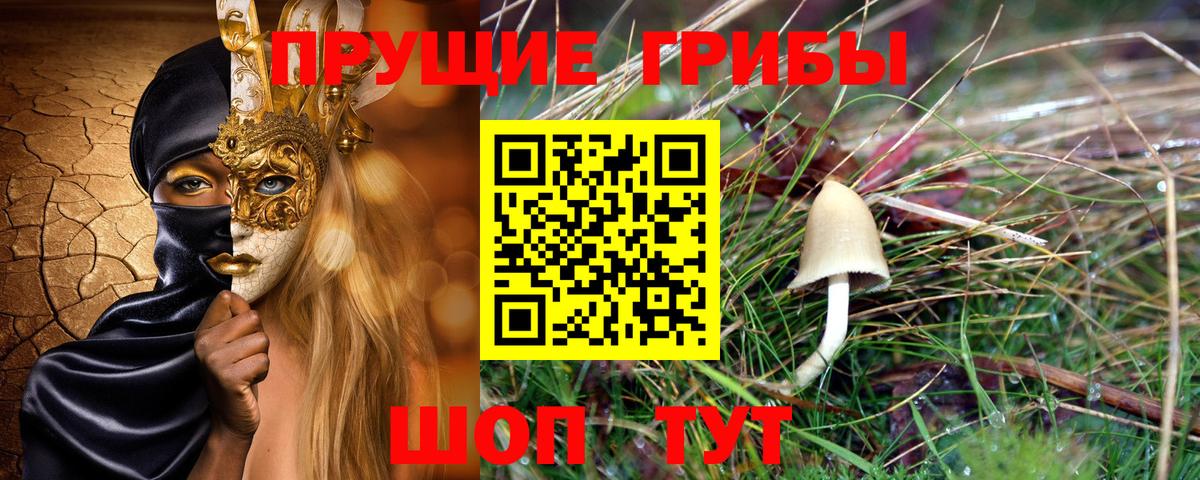 Псилоцибиновые грибы мухоморы Балтийск