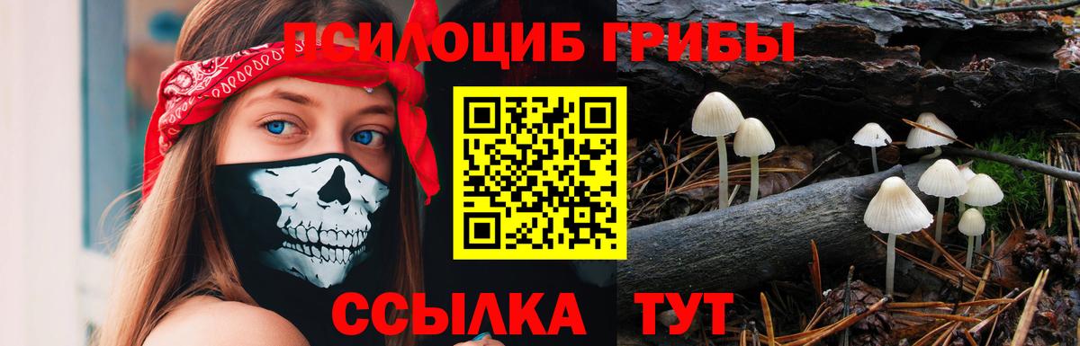 Балтийск  Галлюциногенные грибы GOLDEN TEACHER  Псилоцибиновые грибы Magic Shrooms  Вход с VPN 